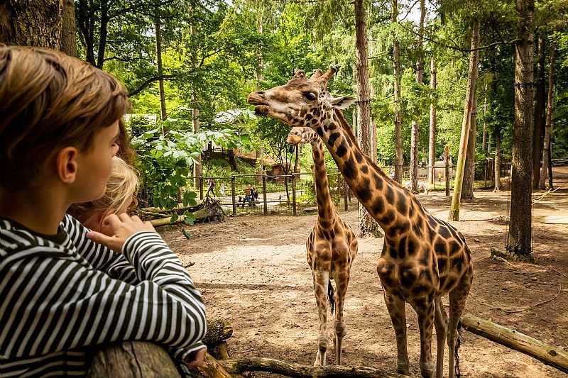 Dierenpark Amersfoort