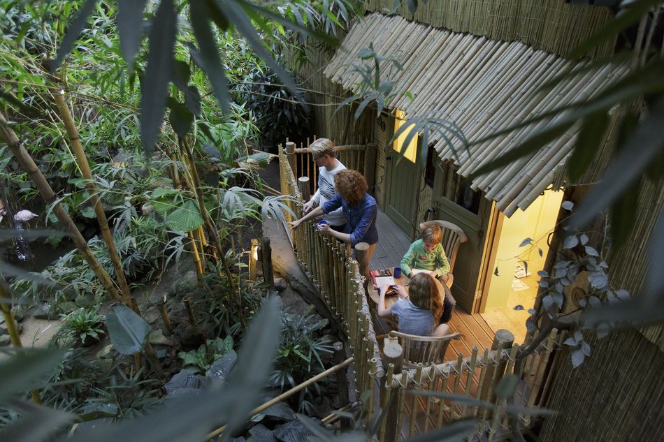 jungle dome