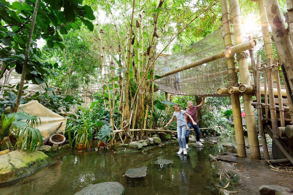 Jungle Dome - Het Heijderbos