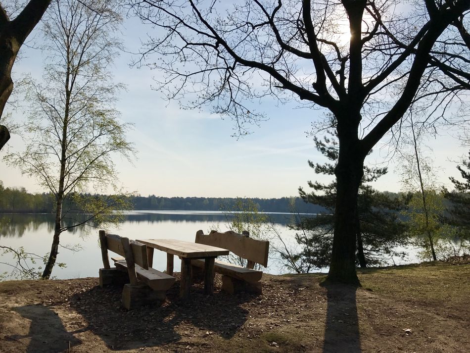 picnick grote meer