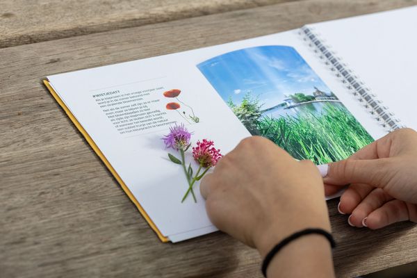 Herbeleef je zomer met onze exclusieve Center Parcs Summer Journal