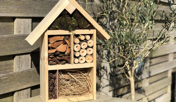 Center Parcs Thuis DIY – Een insectenhotel maken