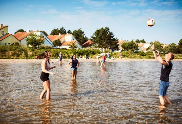 Volleybal