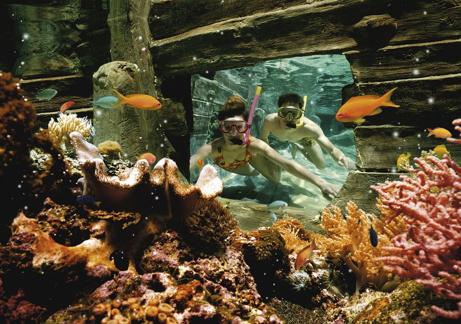 Snorkelen Leven in Zee-bad