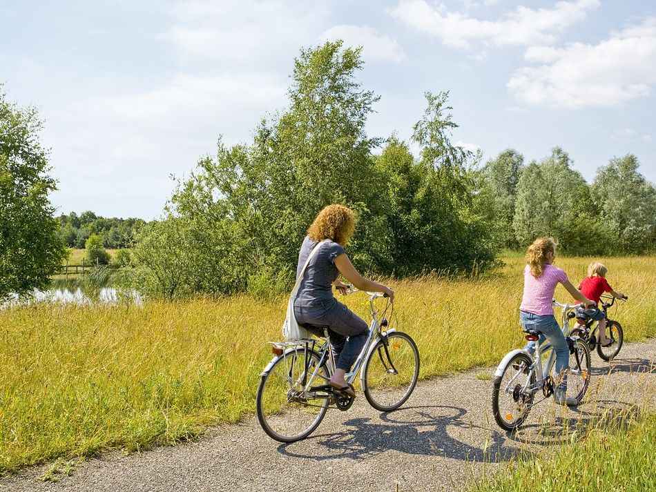 Fietsen familie