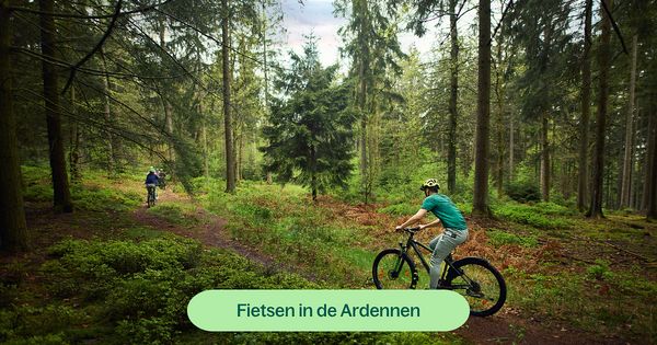 Fietsroutes in de Ardennen: ontdek Vielsalm, Lac des Doyards en Domaine De Farnières