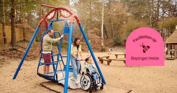 Schommel op Bispinger Heide
