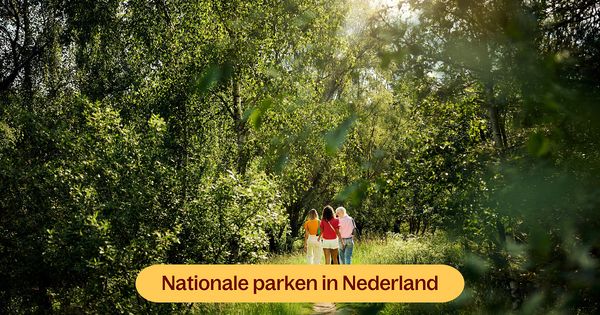 De mooiste nationale parken van Nederland