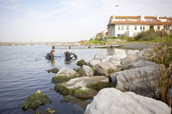 Cursus PADI Open Water