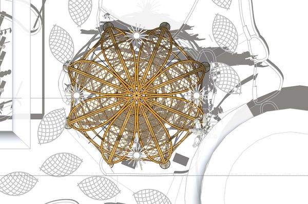 NIEUW: Bamboe Dome in Limburgse Peel