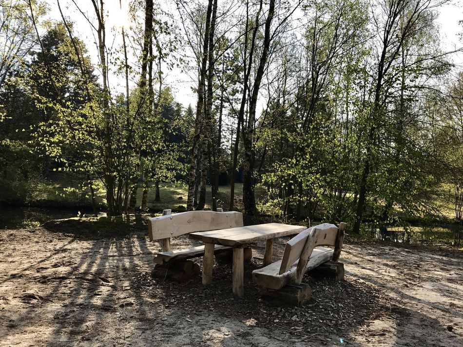 natuur picknick