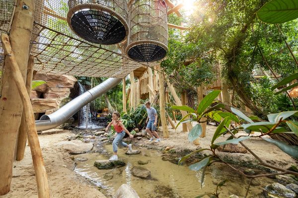 Jungle Dome