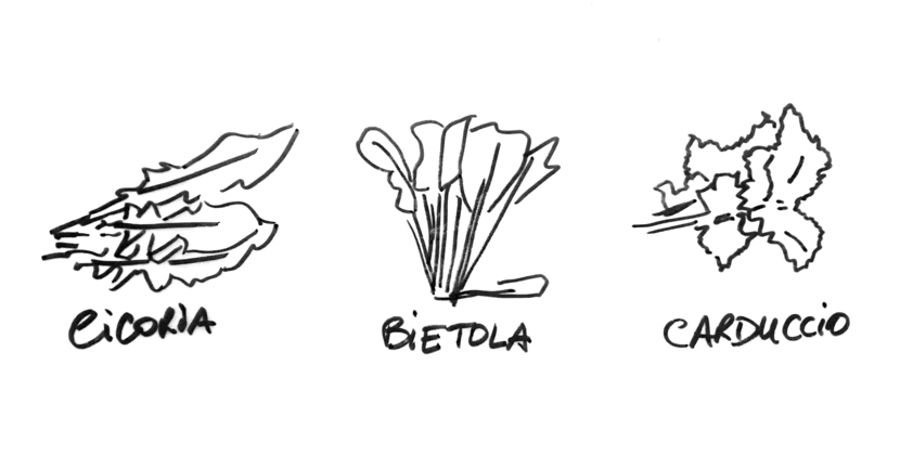 Countryside herbs — Puglia (Fg), Italy