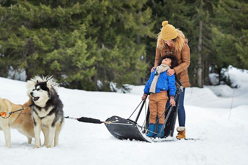 Vacances à la montagne