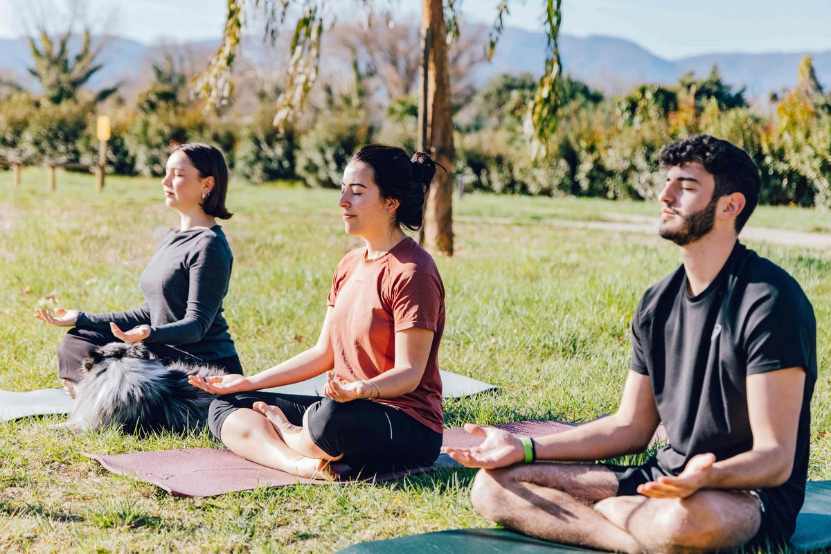 Vacanciers pratiquant le yoga en plein air dans un cadre naturel, activité bien-être et relaxation idéale pendant un séjour Pierre & Vacances.