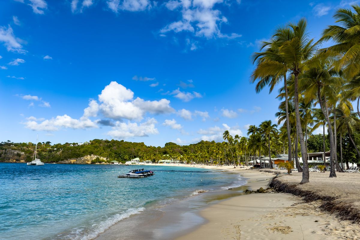 Plage bordée de palmiers en Guadeloupe, avec sable clair, eau turquoise et catamaran au large par une journée ensoleillée de juillet.