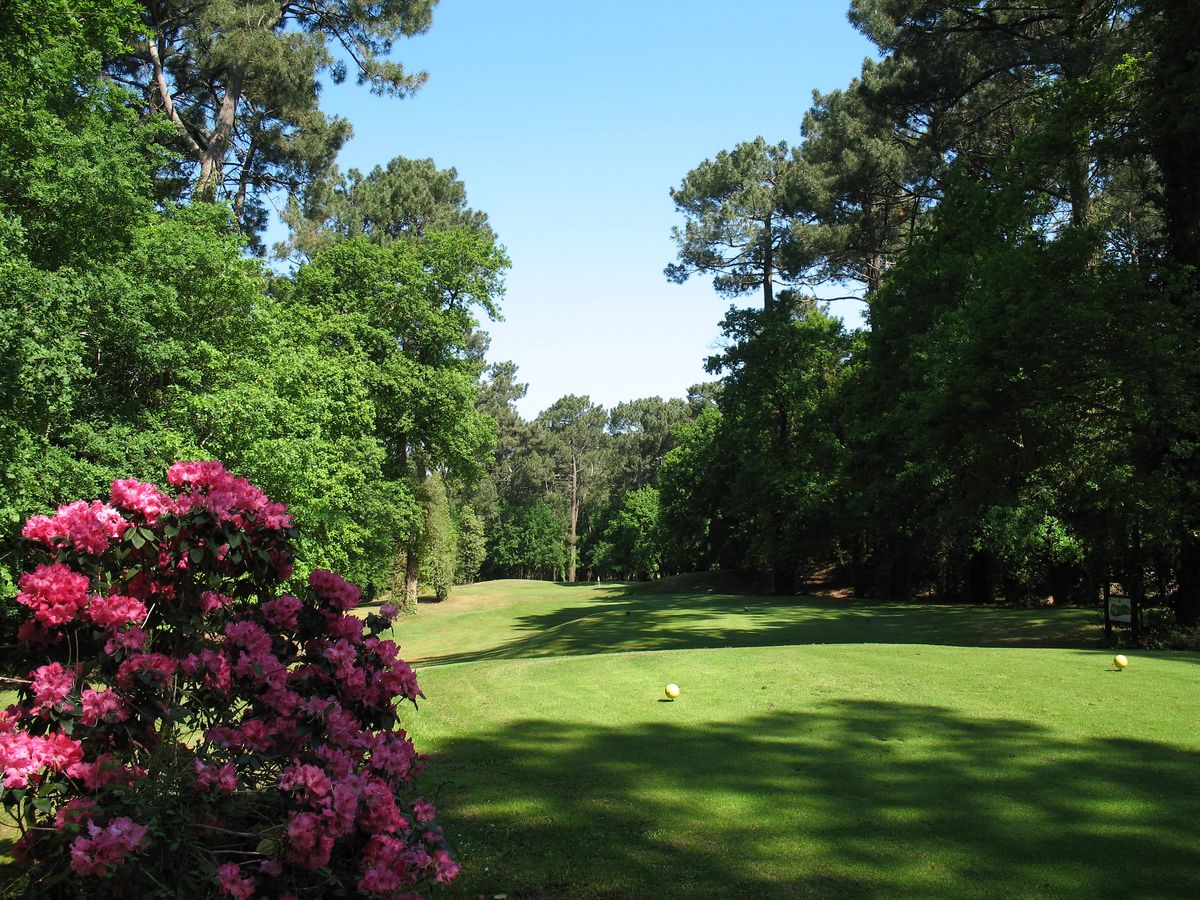 Parcours de golf verdoyant entouré de pins et de fleurs colorées, idéal pour des vacances seniors actives et relaxantes en pleine nature.