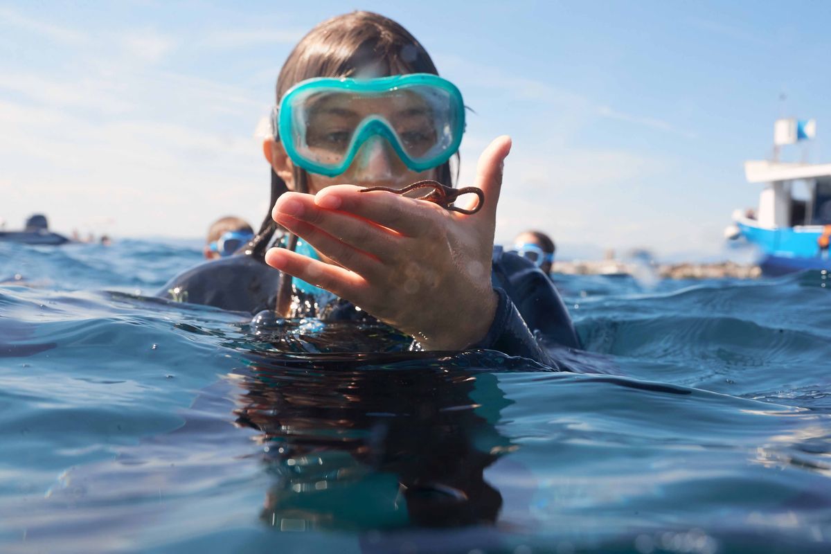 Snorkeling en mer Méditerranée à Fréjus - RendezvousCheznous