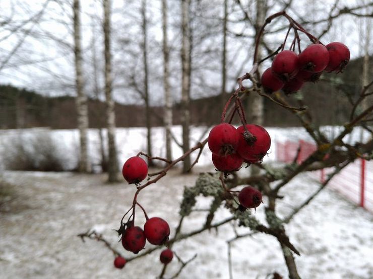 Otettu pääkameralla.