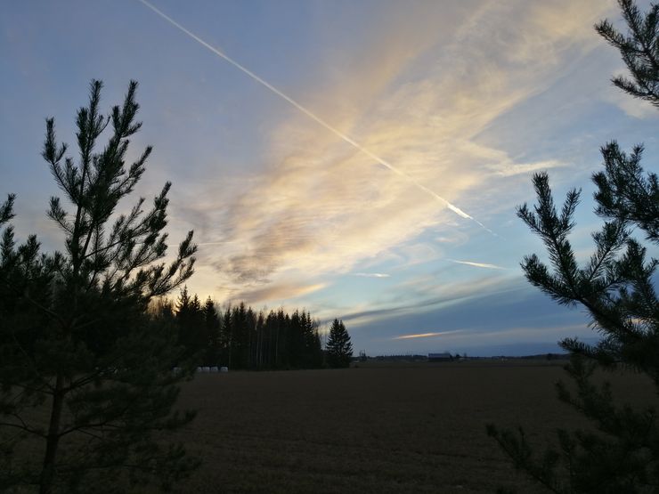 Ilman tekoälyä värit ovat haaleammat.