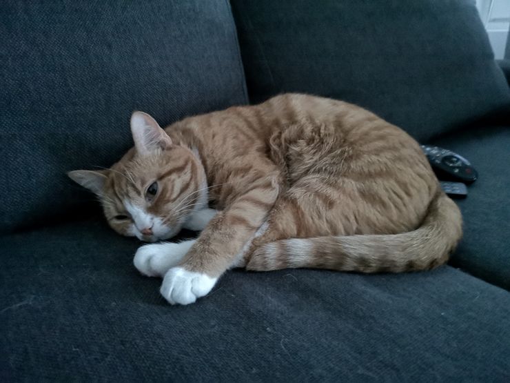 Huawei P20 Pro automaatti.