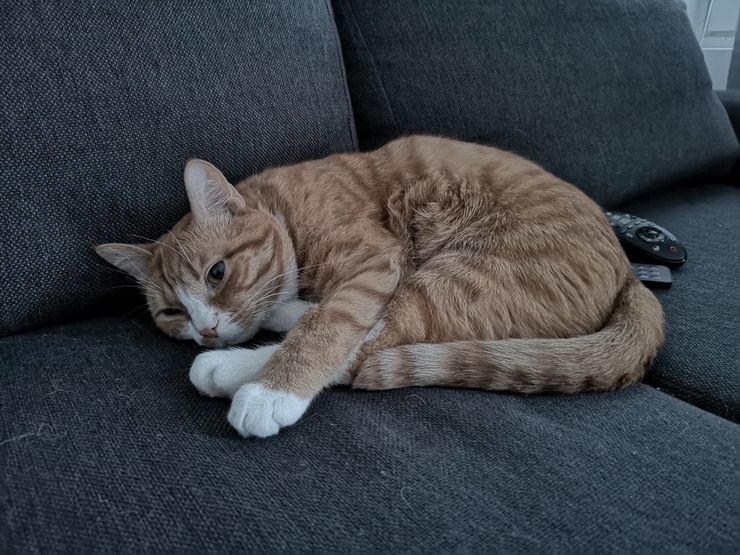 Huawei P20 Pro yötila.