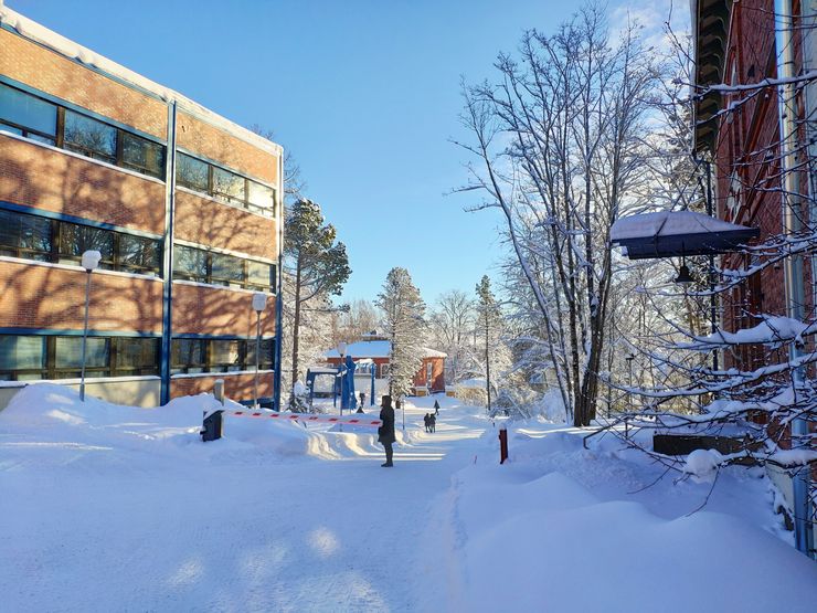 Automaattiasetuksilla tekoälyn avustamana – värit korostuvat.
