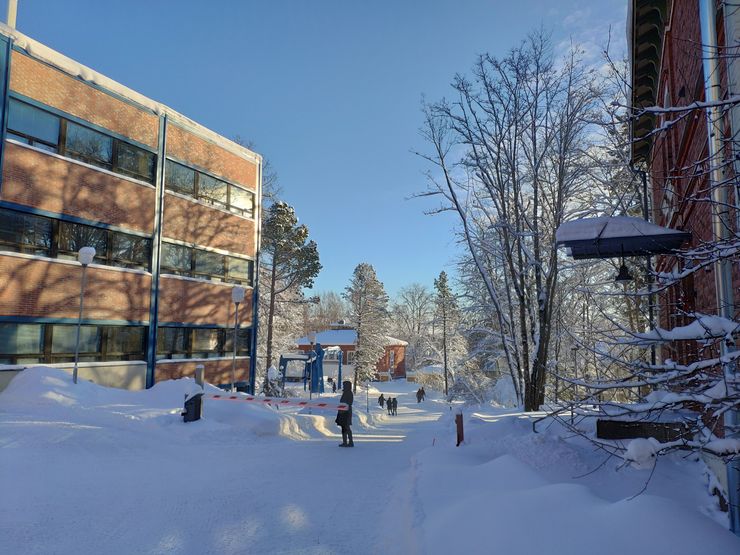 Automaattiasetuksilla ilman tekoälyä.
