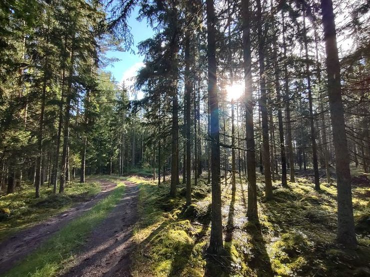 Ultralaajakulmakamera.