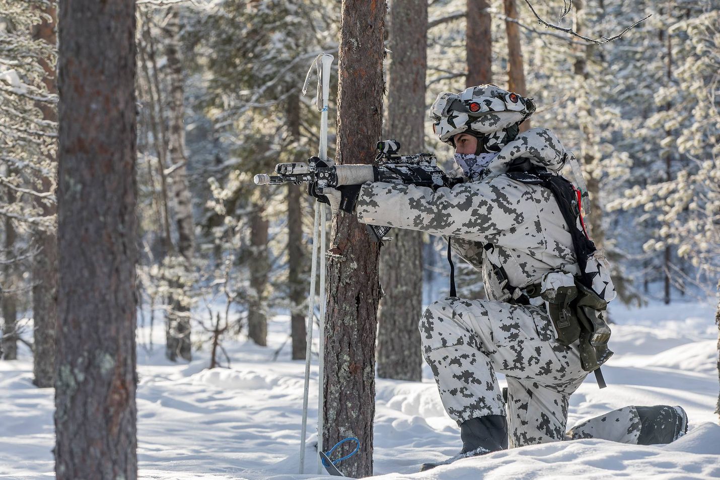 Northern Wind 2019 -harjoitus on Ruotsin maavoimien pääharjoitus, johon osallistuu yhteensä noin 10 000 henkilöä. Mukana on yli 1500 suomalaissotilasta.
