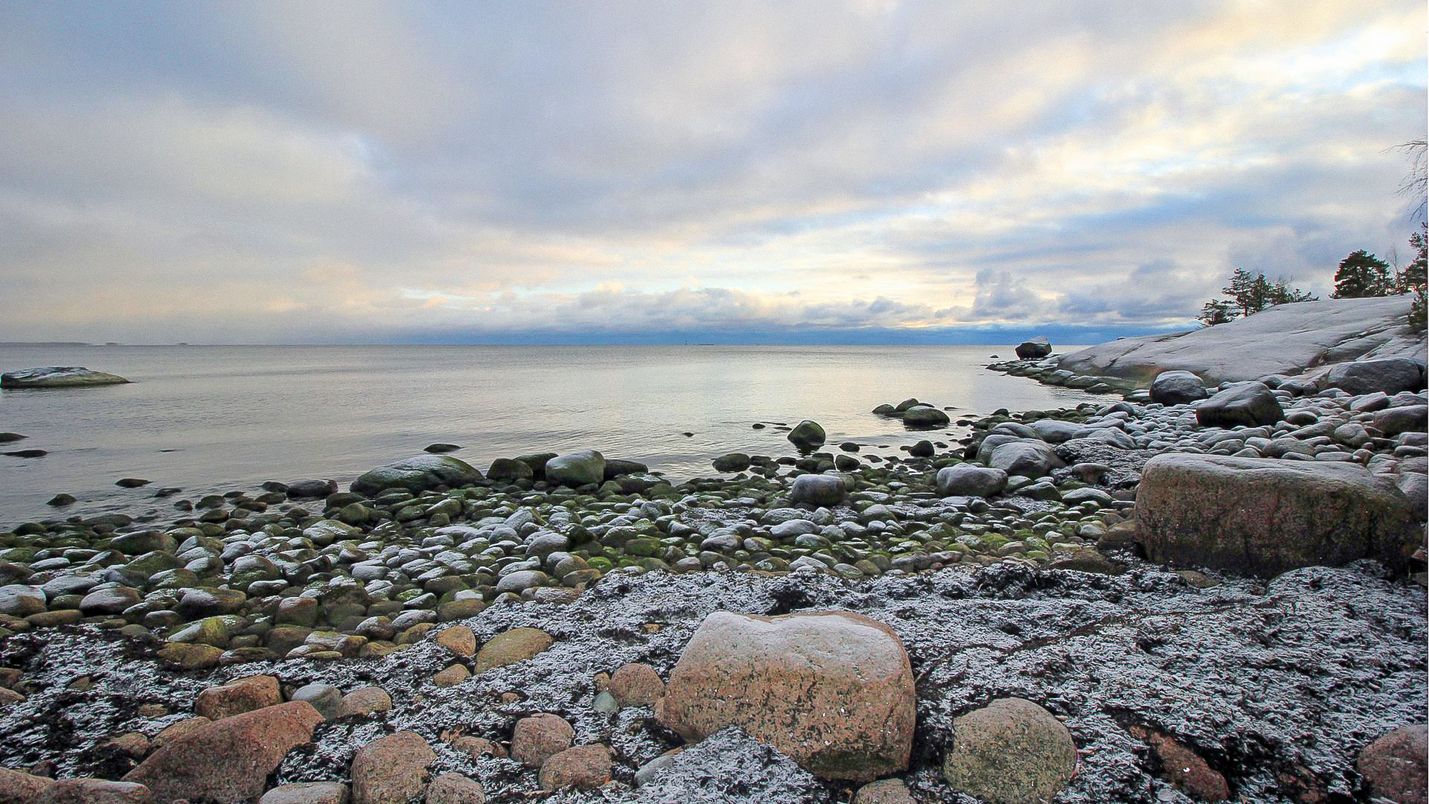 Eero Aho löysi Suomen hiljaisimman neliömetrin. Suomesta alkaa olla vaikea löytää paikkaa, jossa ei kuulu ihmisen aiheuttamia ääniä.