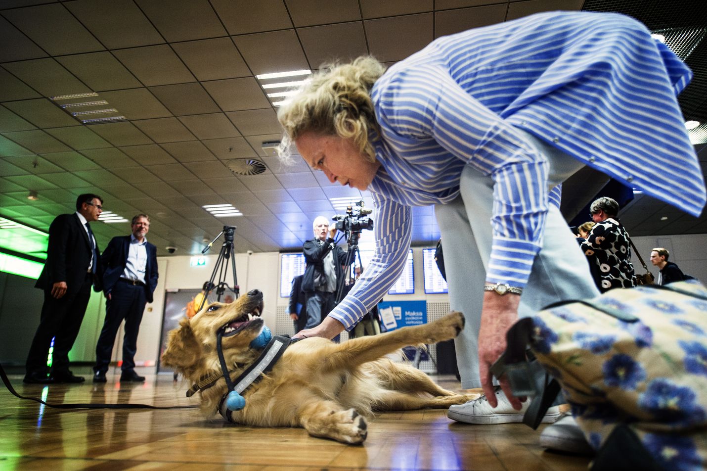 Tullin 2,5-vuotias ruokakoira Aino on löytänyt runsaan vuoden aikana noin 1 200 kiloa luvattomia elintarvikkeita. Maa- ja metsätalousministeriön kansliapäällikkö Jaana Husu-Kallio leikitti Aino-koiraa Tullin tilaisuudessa Helsinki-Vantaan lentoasemalla.