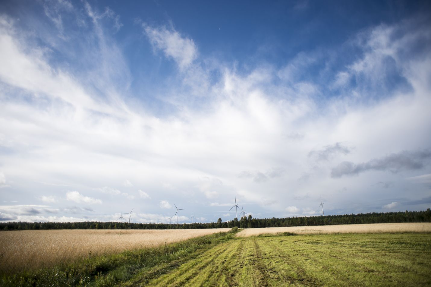 Päästöjen vähentämistä on pidetty maataloudessa erittäin vaikeana. Uudet laskelmat osoittavat, että mittavat leikkaukset ovat kuitenkin mahdollisia.
