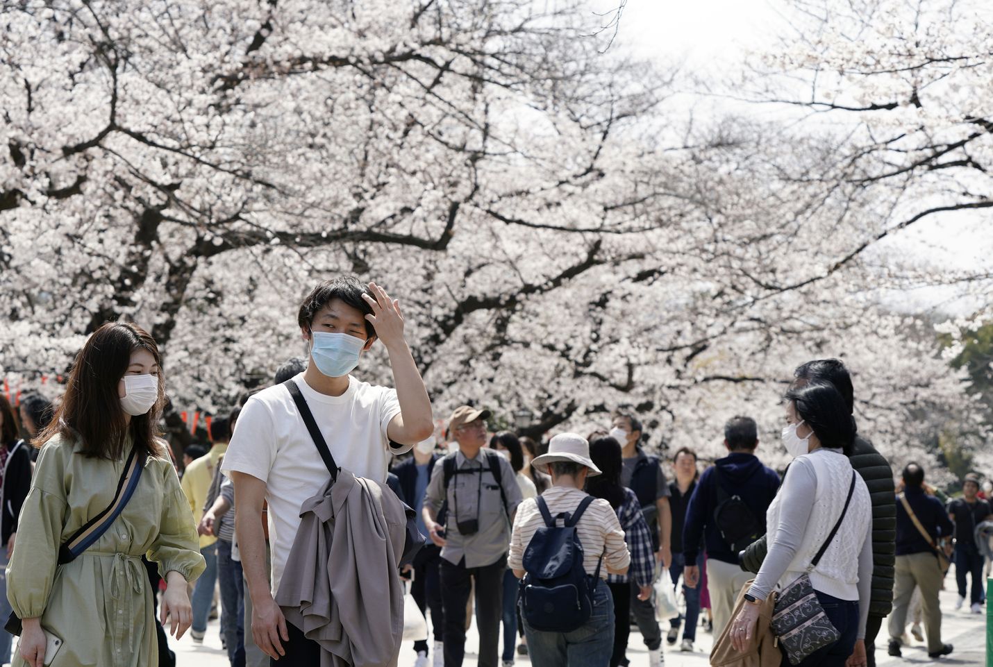 Lähes kaikki ovat käyttäneet hengityssuojaimia Japanissa koronavirusepidemian aikaan. Viime viikonloppuna tokiolaiset lähtivät puistoihin katsomaan kirsikankukkia.