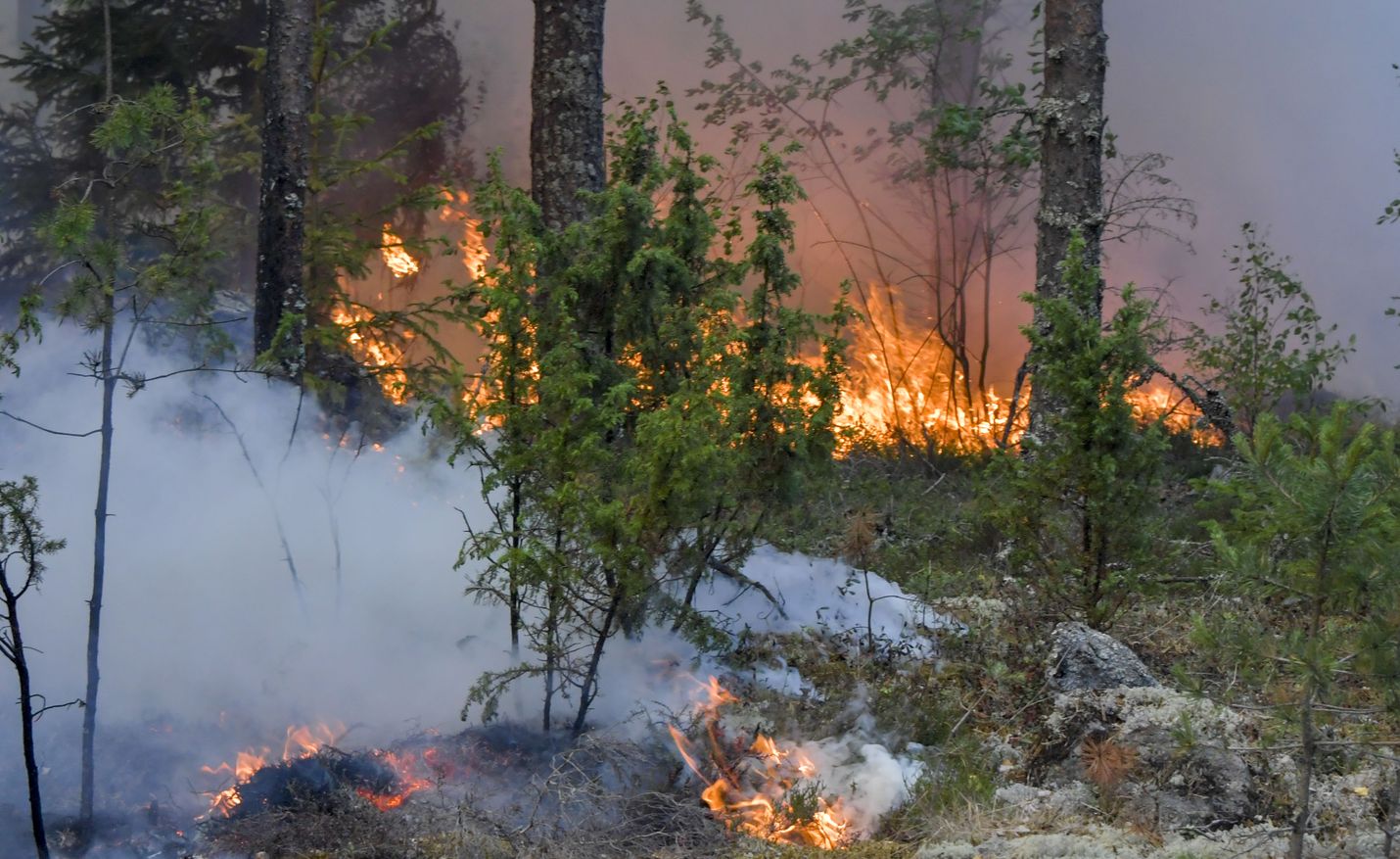 Pyhärannan Santtiolla metsää paloi heinäkuussa 2018.