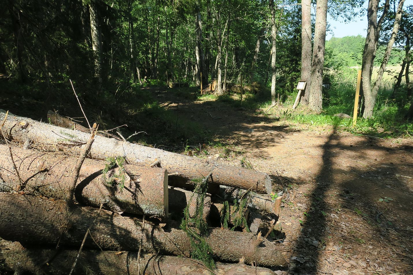 Länsi-Suomi kertoi kesäkuussa Metsähallituksen vetämästä Rannikko-life-hankkeesta, jolla halutaan palauttaa uhanalainen perhonen Rauman saaristoon.