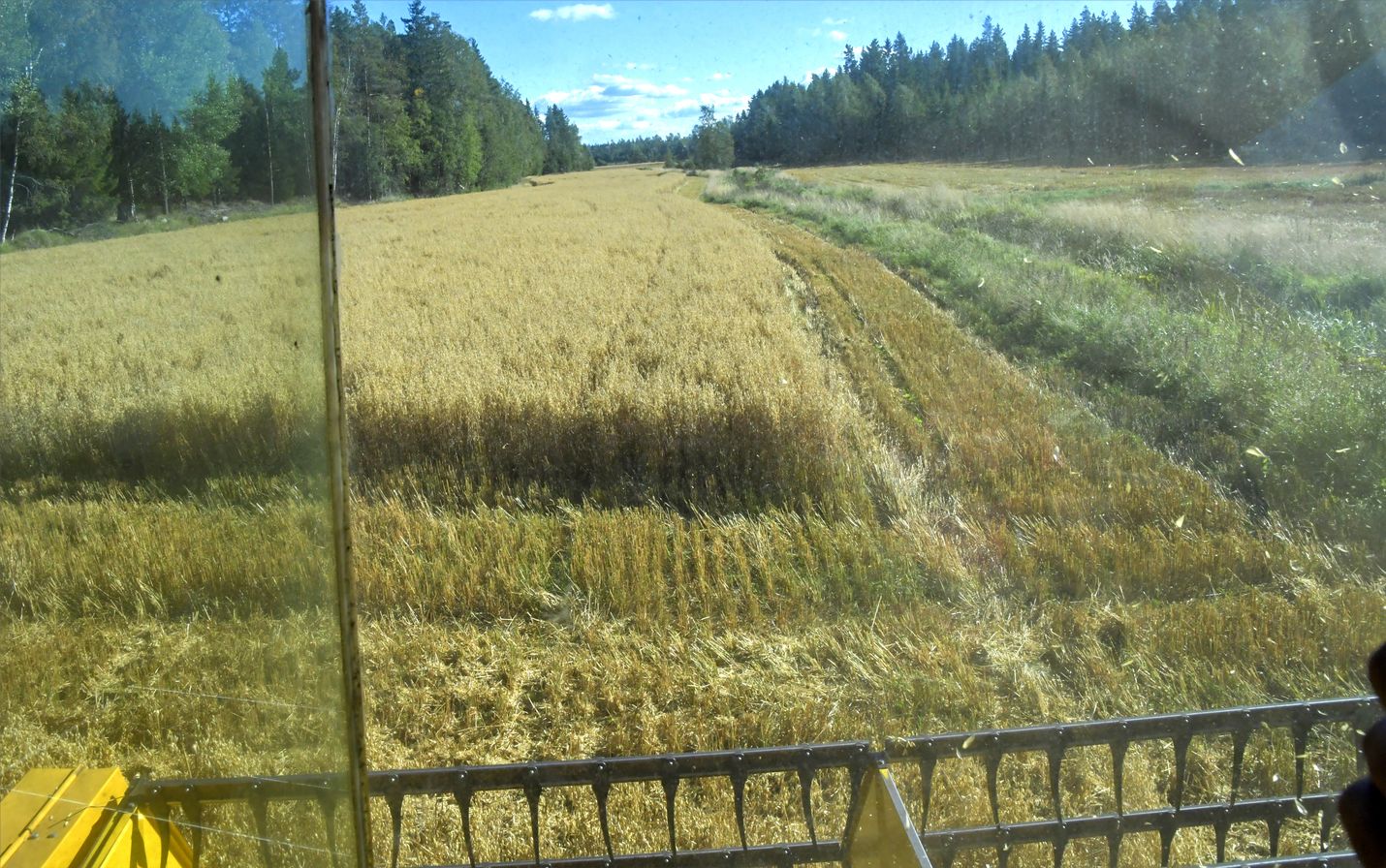Kirjoittaja muistuttaa, että vastakkaisista luuloista huolimatta Suomen maataloudessa on tehty paljon ympäristönsuojelun eteen.