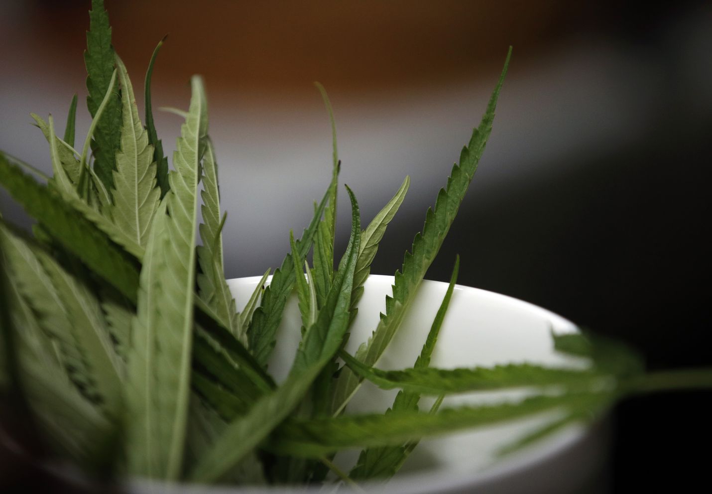 Kannabikseen liittyvä lainsäädäntö vaihtelee maittain. Useissa Euroopan maissa kannabiksen käytöstä yksityistiloissa ei rangaista, vaikka kannabis on luokiteltu huumausaineeksi. Suomessa kannabiksen hallussapito, käyttö ja kasvatus ovat rikoksia.