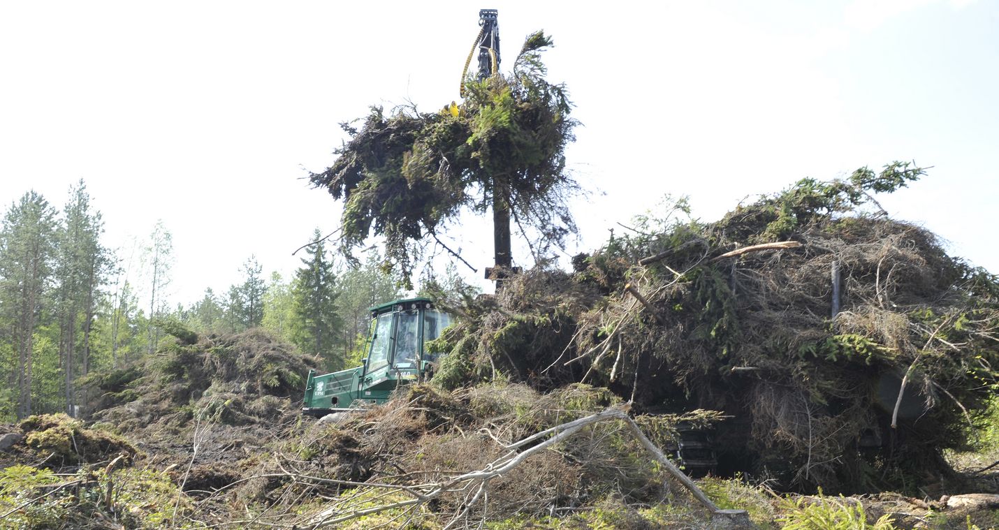 Kirjoittajan mukaan metsäenergian markkinoille on koittamassa uusi aika.