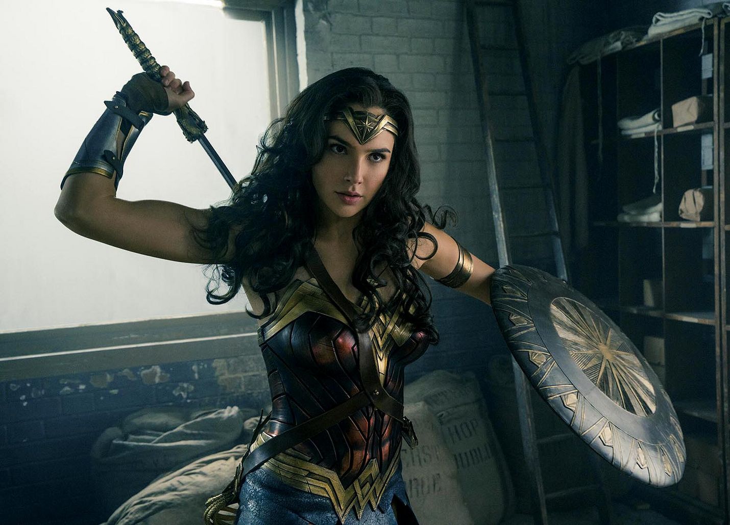Ennen kuin hänestä tuli Wonder Woman, hän oli Diana, soturiksi koulutettu amatsonien prinsessa.