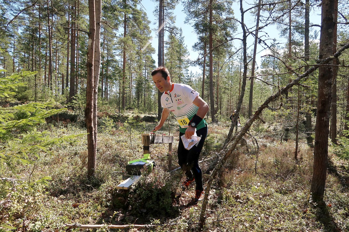 Sergei Detkov on Hiisirastin ainoa venäläissuunnistaja tämän vuoden Jukolan viestissä.