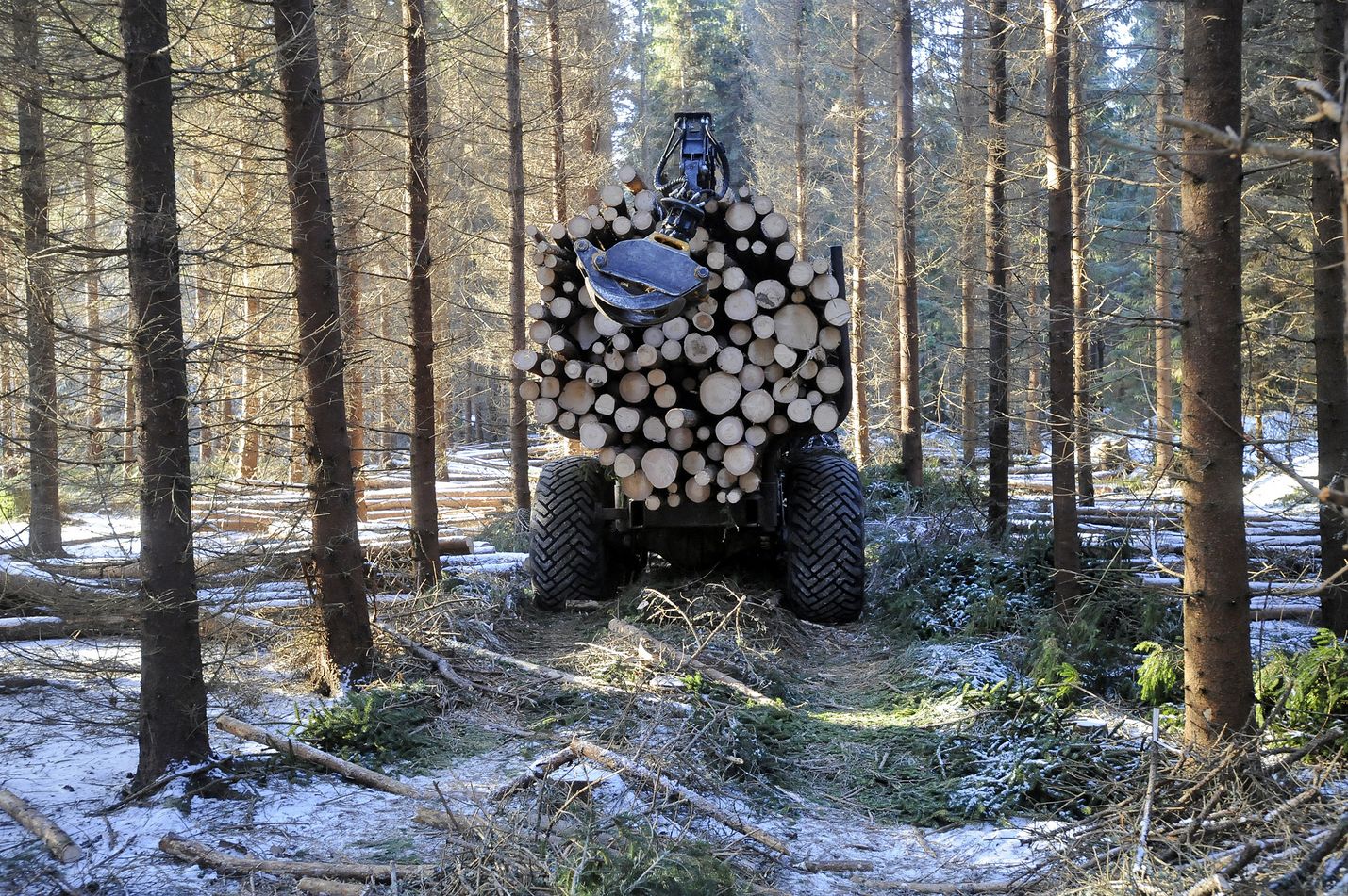 Nyt kun myös Suomessa ollaan nielujen osalta aikaisempaa heikommassa tilanteessa, koko ilmastopolitiikkaa tulee arvioida uudelleen metsien nieluja laajemmin, kirjoittaa Jyrki Peisa.
