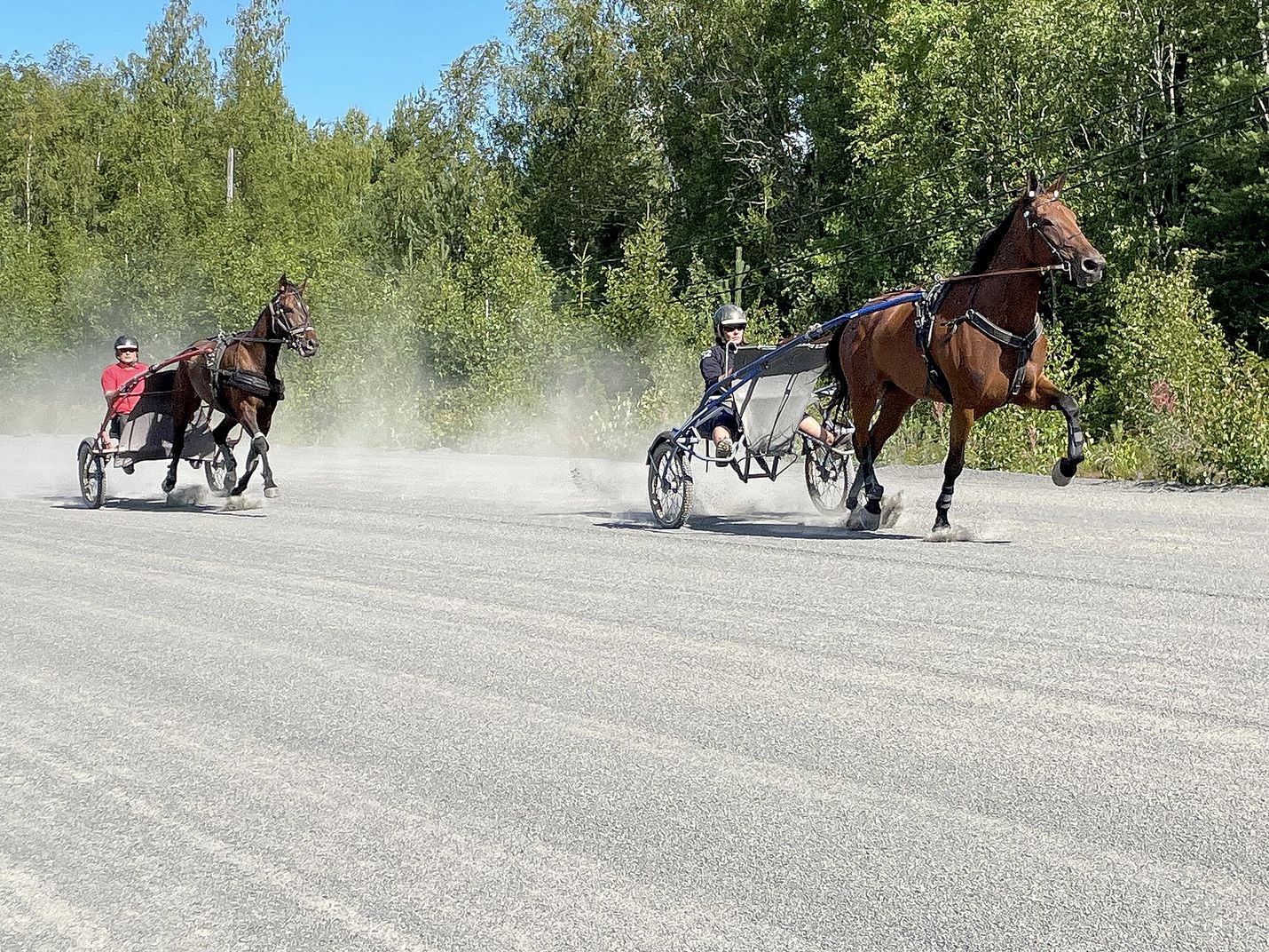Pekka Rantapere ohjasti Coastal Gangsteria (takana) maanantaisissa treeneissä yhdessä Milla Pitkäsen ohjastaman Brilliant Striden kanssa. Brilliantin omistaa Raumalla kotipaikkaansa pitävä Oy Ställverksprodukter Ab.