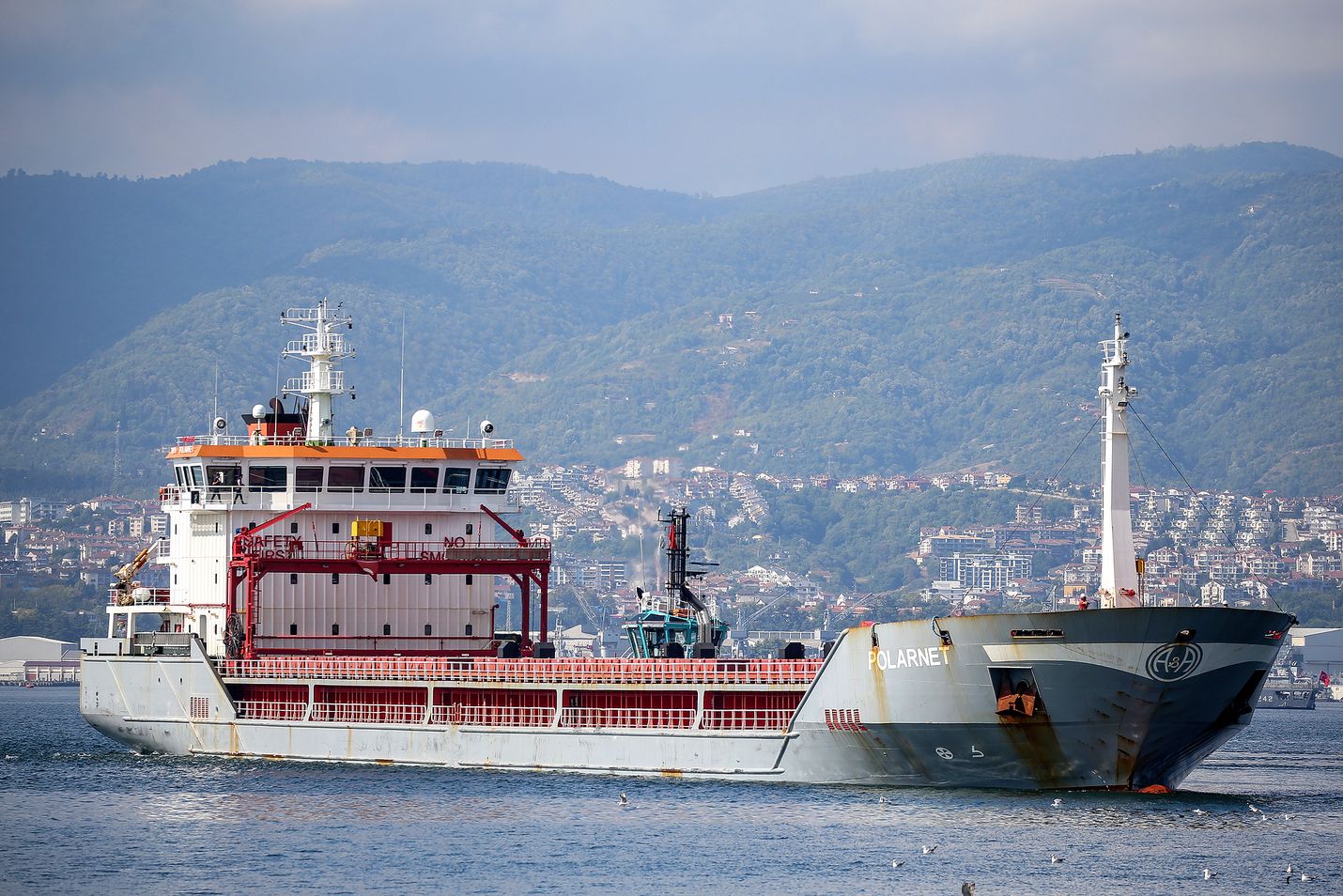 Turkin lipun alla kulkeva rahtialus Polarnet saapui Turkin Safiport Derincen satamaan viime vuoden elokuussa. Alus oli lähtenyt matkaan Ukrainan Tshornomorskin satamasta yhtenä ensimmäisistä viljakuljetuksista Venäjän täysimittaisen sodan aikana.