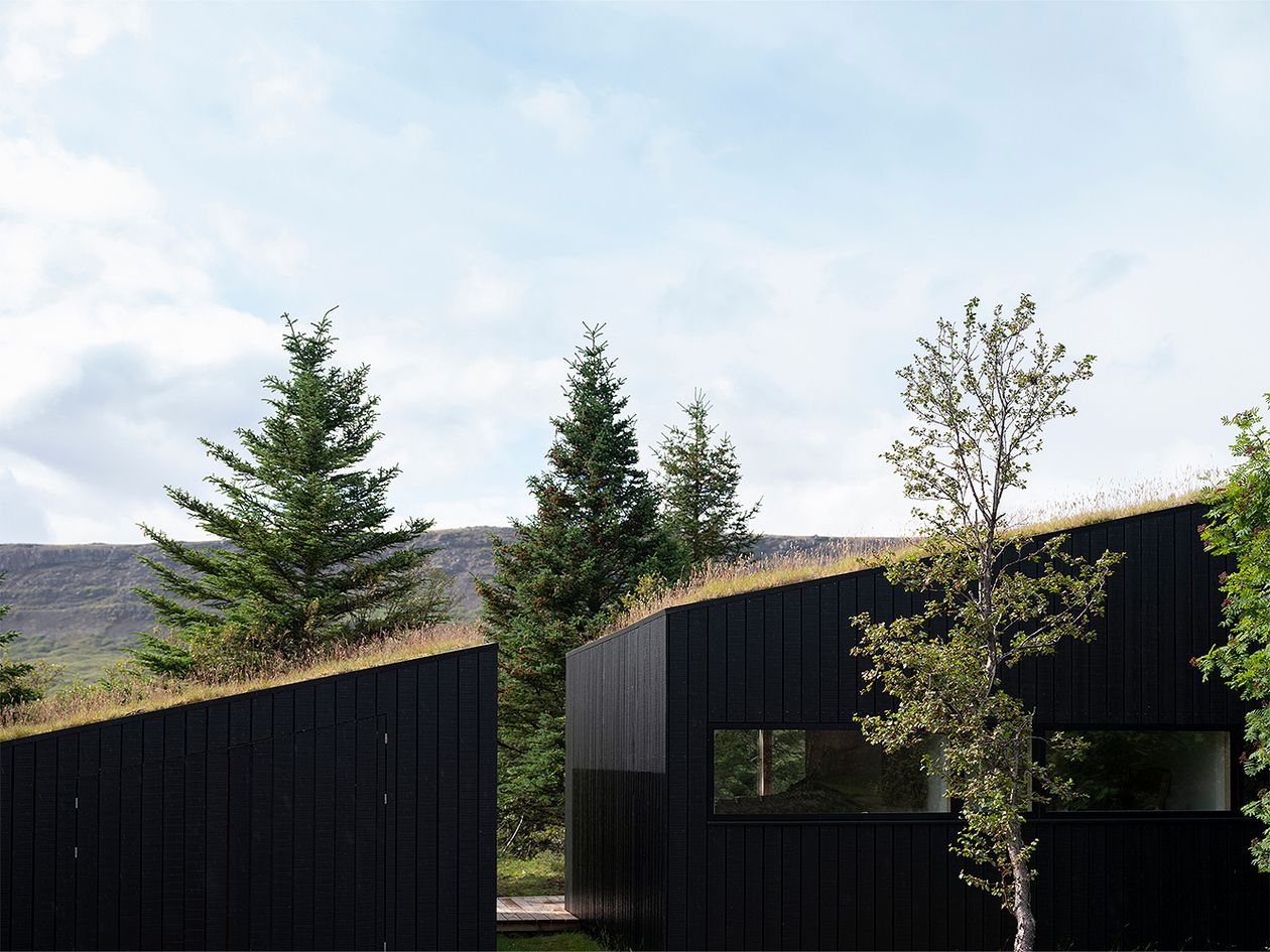 Kuva, jossa arkkitehtuuritoimisto KRADSin suunnittelema Holiday home by Þingvallavatn -rakennus. Kuvassa julkisivu ja viherkatto.