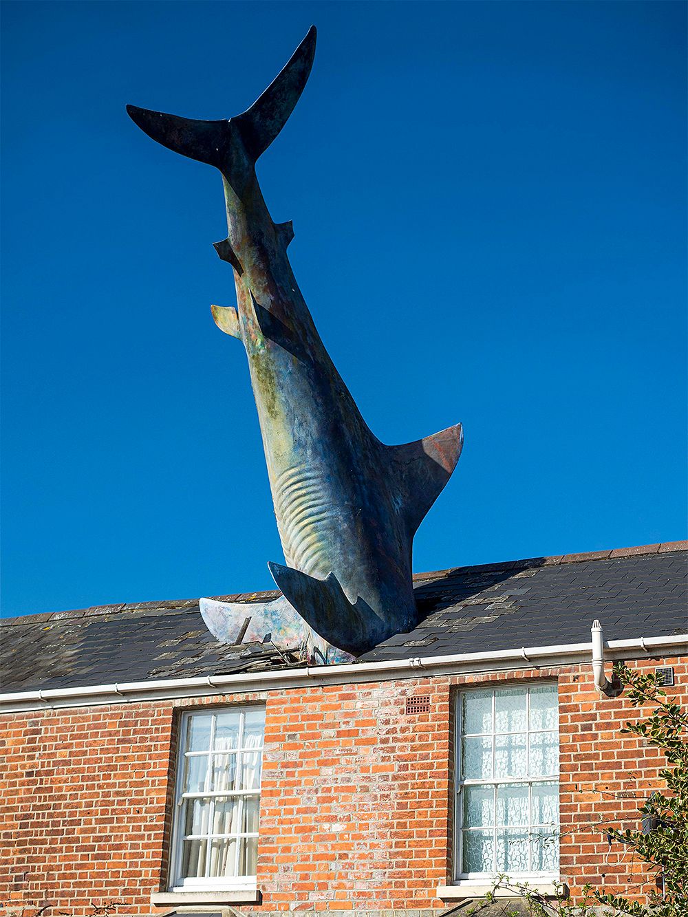 Untitled 1986 tai The Headington Shark, Oxford