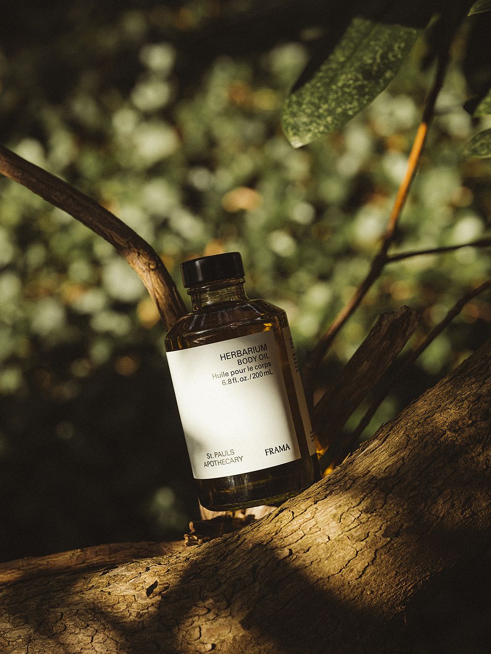 Frama's Herbarium body oil placed on a tree branch.