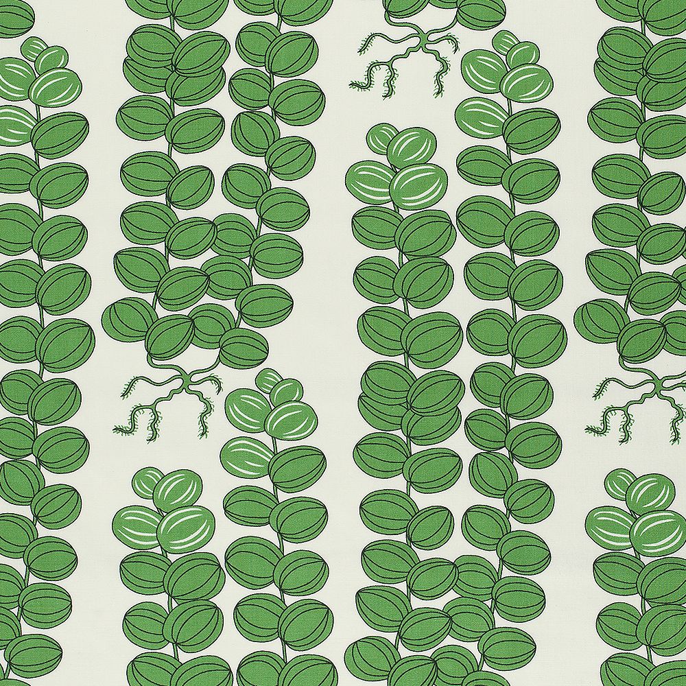 Josef Frank Celotocaulis