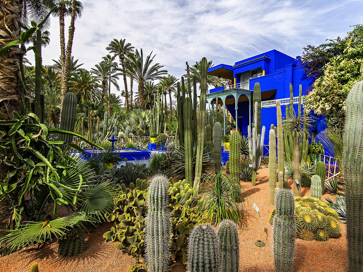 6 huikean hienoa puutarhaa: Jardin Majorelle, Marrakech