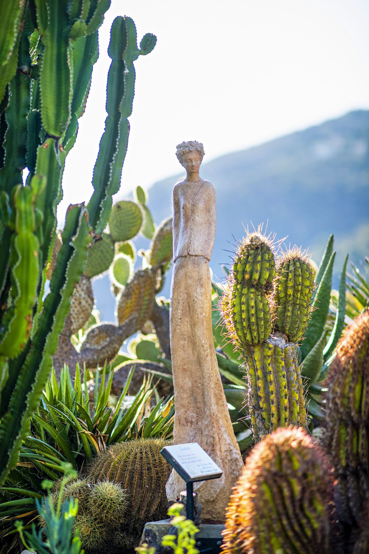 Le Jardin Exotiquen kaktuspuutarha Ranskan Rivieralla